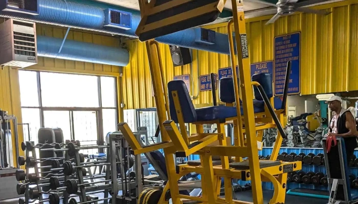 Mandrills Gym Promotion - Santa Fe