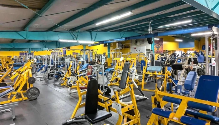 Mandrills Gym Santa Fe - Santa Fe