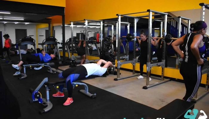 Masfit -  Exercise Machine - Denver