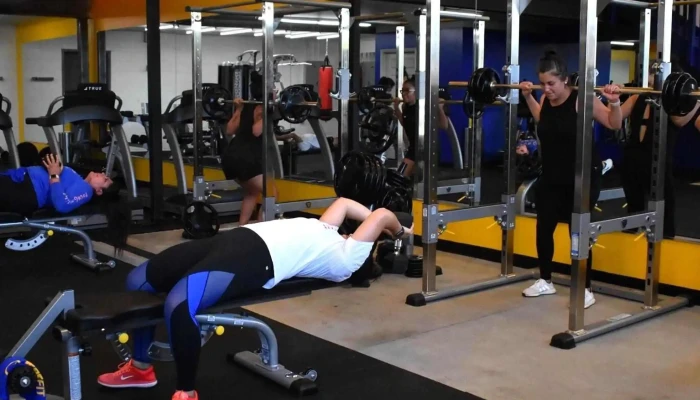 Masfit -  Gym - Denver