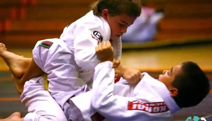 Mass Brazilian Jiu -  Jitsu   Martial Arts Center Martial Art - Acton