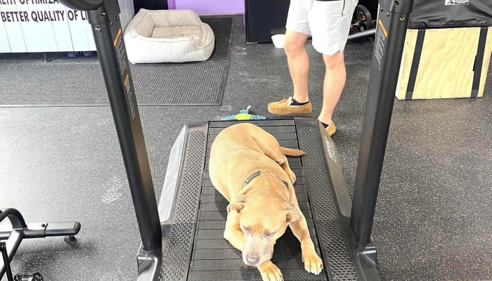 Maxed Out Fitness -  Training - Annapolis