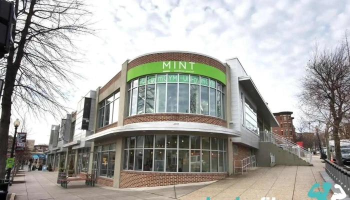 Mint Gym & Studio - Washington