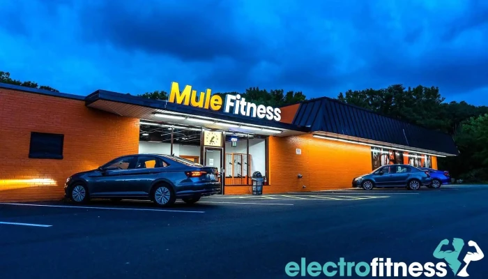 Mule Fitness -  All - Amsterdam