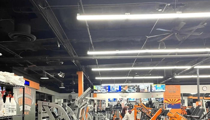 Muscle Factory Gym -  Address - Tempe