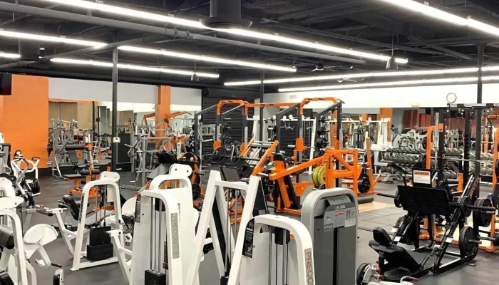 Muscle Factory Gym -  All - Tempe