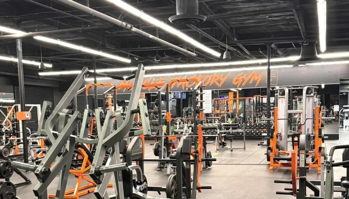 Muscle Factory Gym -  Gym - Tempe