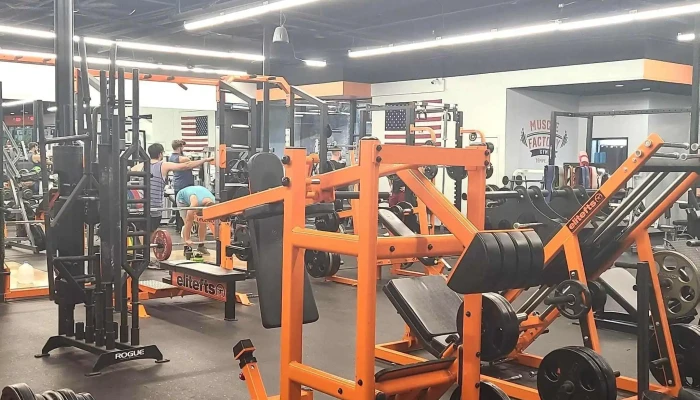 Muscle Factory Gym -  Number - Tempe