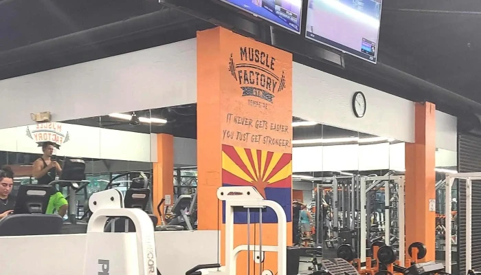 Muscle Factory Gym -  Prices - Tempe