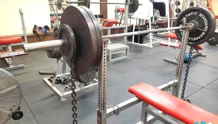 Muscle Fitness Factory All - Danville