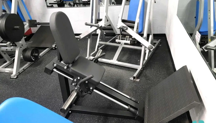 Muscle House And Fitness -  Gym - Indian Head