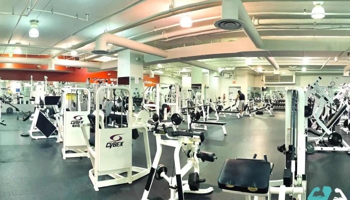 New York Sports Club -  All - Washington