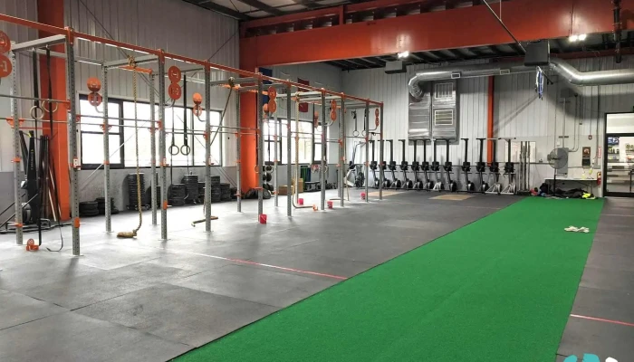 Next Fitness Gym - Agawam