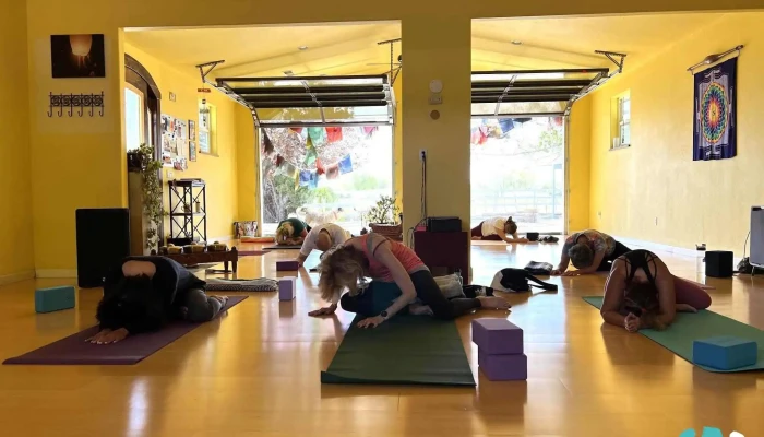 O2 Yoga Wellness Yoga - Minden
