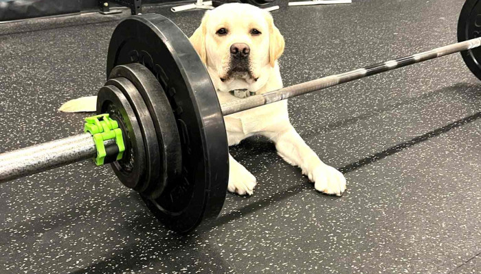 Ontrack Physical Therapy And Functional Training All - Essex Junction
