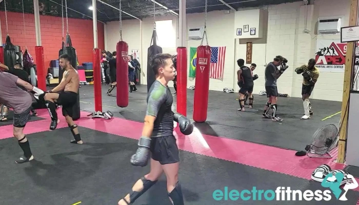 Open Guard Bjj -  Videos - Apex