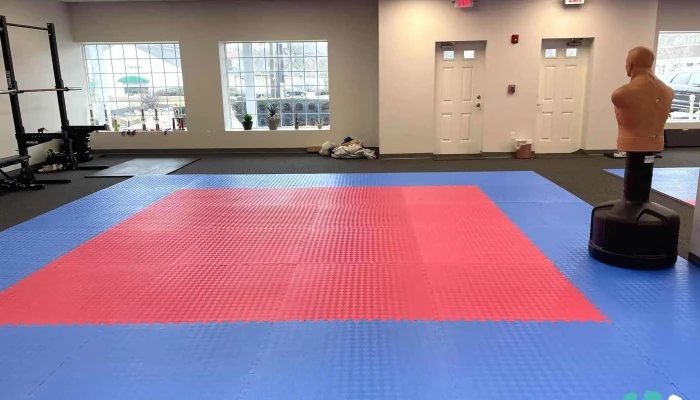 Origins Taekwondo Academy -  All - Acton