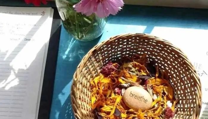 Otter Creek Yoga And Healing Arts -  By Owner - Middlebury