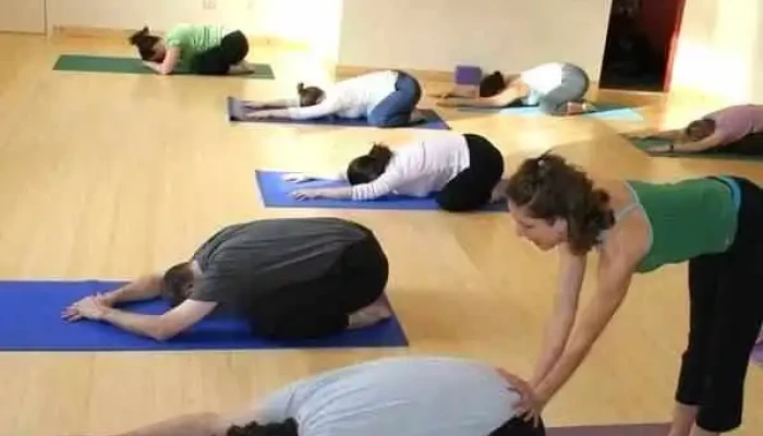 Otter Creek Yoga And Healing Arts -  Yoga - Middlebury
