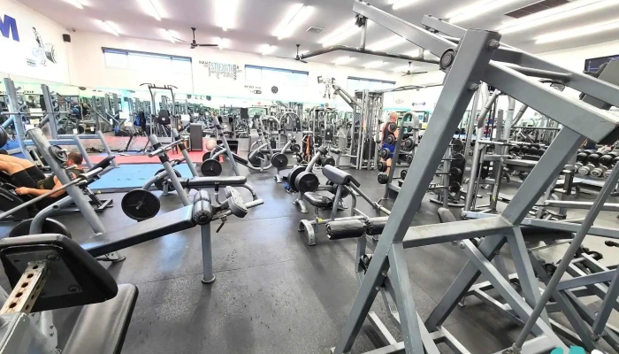 Pal Gym Miami Beach -  All - Miami Beach