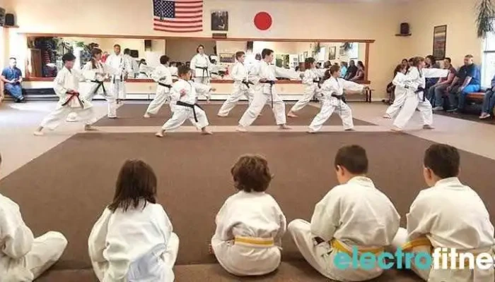 Pelletiers Karate Academy All - Lewiston
