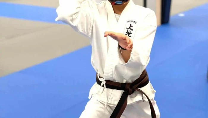 Peter Pippos Karate Center -  All - Acton