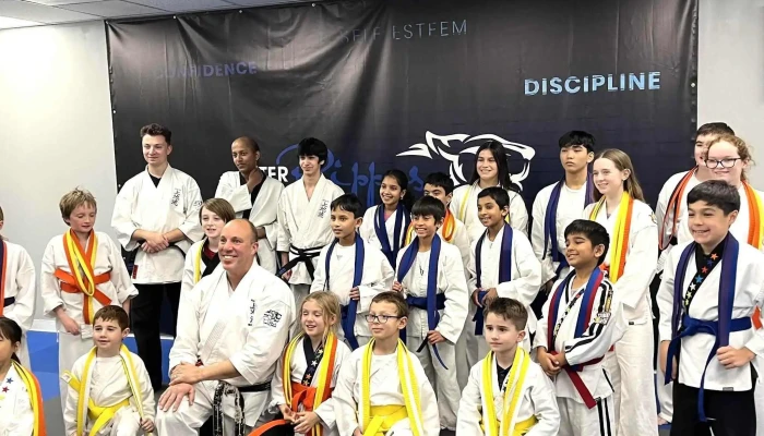 Peter Pippos Karate Center -  Area - Acton