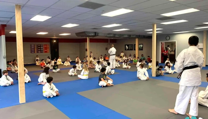 Peter Pippos Karate Center -  By Owner - Acton