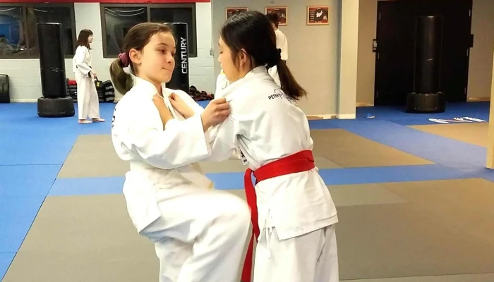 Peter Pippos Karate Center -  Location - Acton
