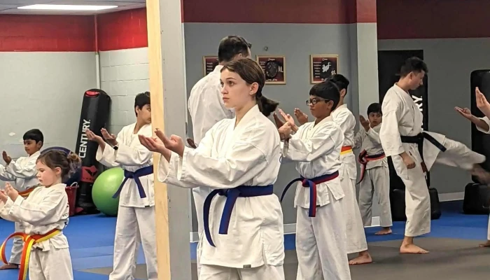 Peter Pippos Karate Center -  Number - Acton