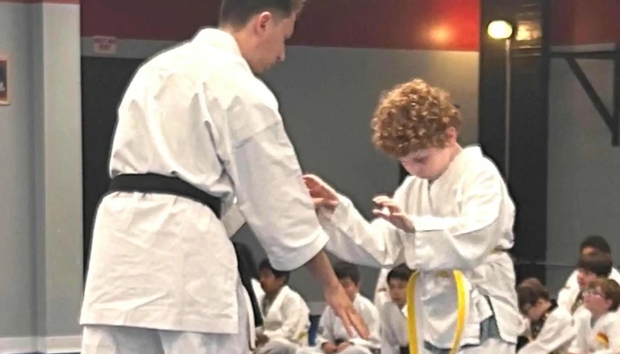 Peter Pippos Karate Center -  Reviews - Acton