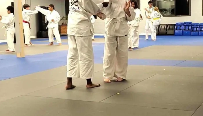 Peter Pippos Karate Center -  Videos - Acton