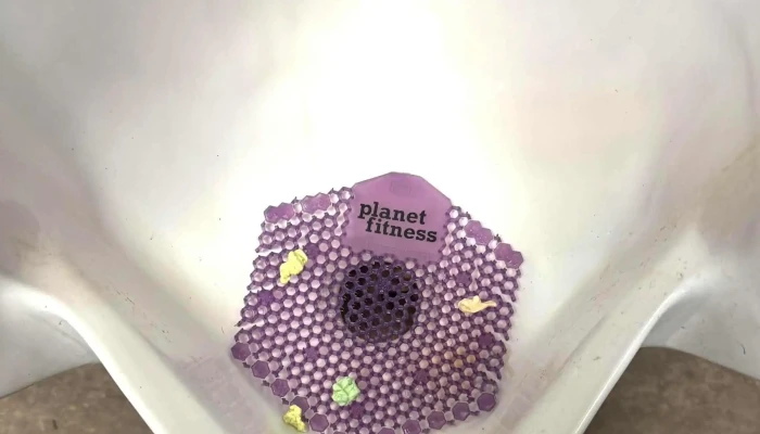 Planet Fitness -  Gym - Waldorf
