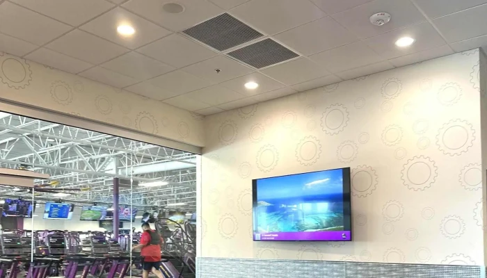 Planet Fitness -  Website - Holland