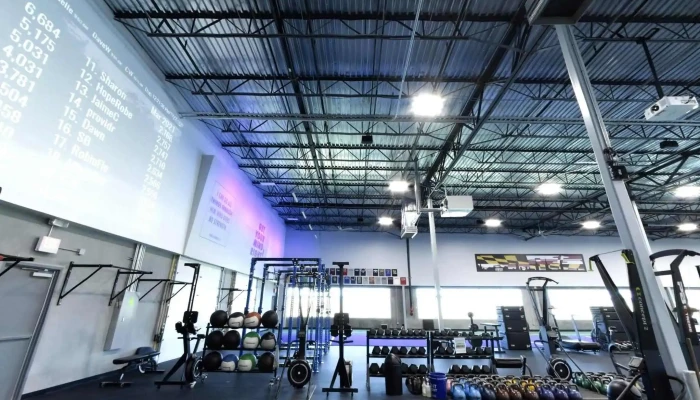 Players Fitness And Performance All - Frederick