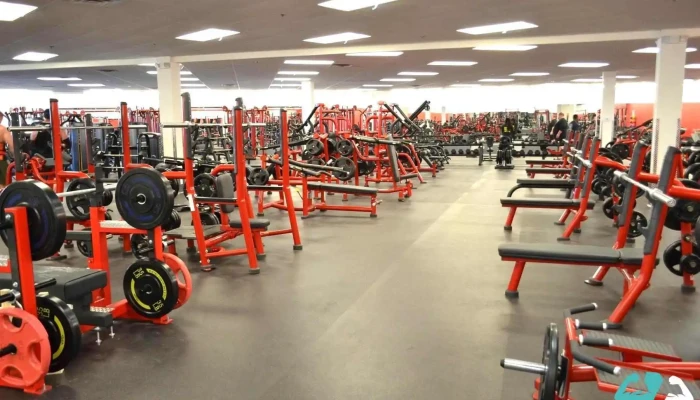 Power Strength Gym -  All - Orlando