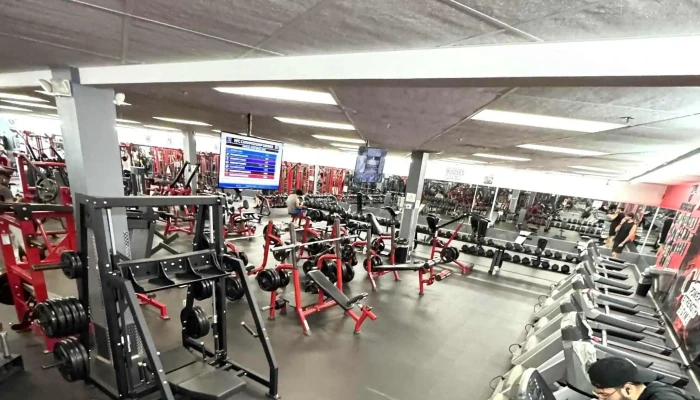 Power Strength Gym -  Gym - Orlando