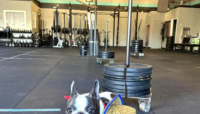 Powerhouse Fitness -  Prices - Folsom