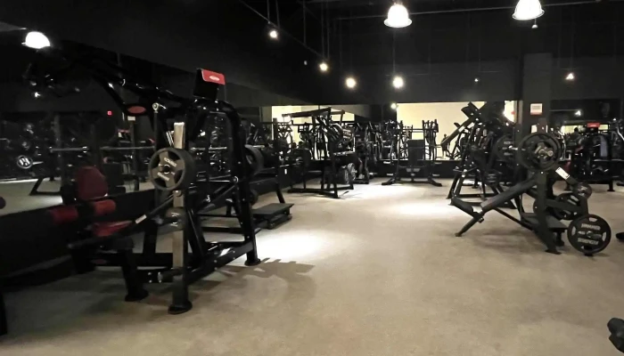 Powerhouse Gym Miami -  Near Me - Miami