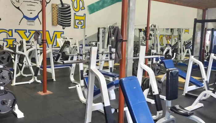 Powerhouse Gym -  Open Now - Gaylord