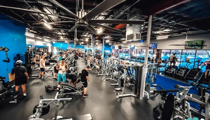 Precision Fitness -  Exercise Machine - Dallas