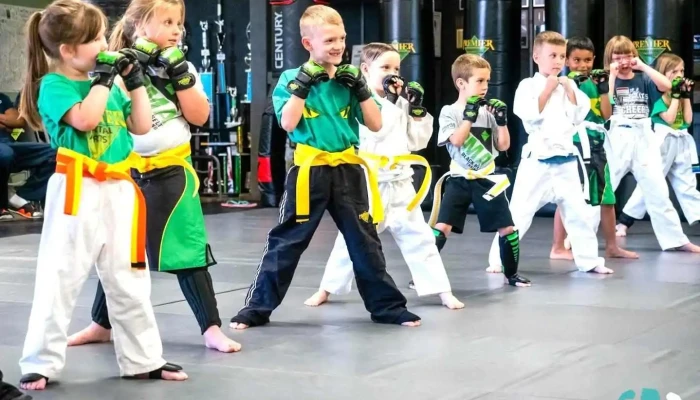 Premier Martial Arts (3287 S 14th St, Abilene) - Abilene