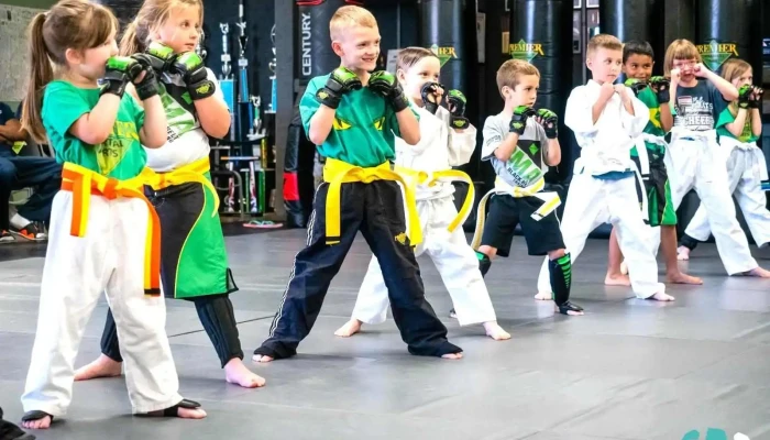 Premier Martial Arts 3287 S 14th St Abilene All - Abilene