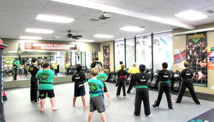 Premier Martial Arts 3287 S 14th St Abilene By Owner - Abilene