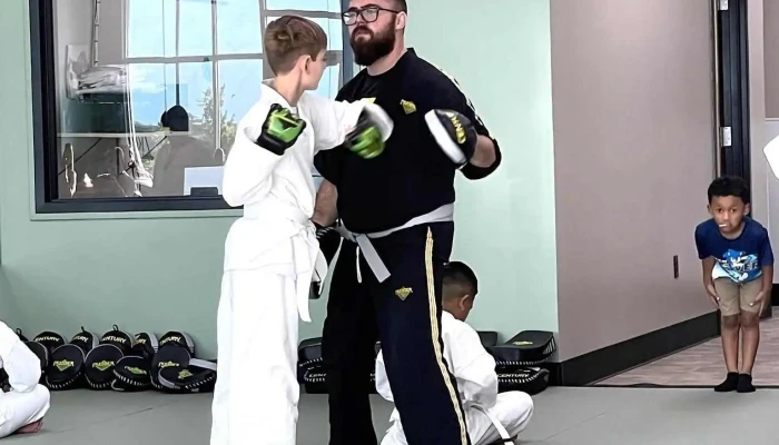 Premier Martial Arts Addison -  Martial Art - Addison