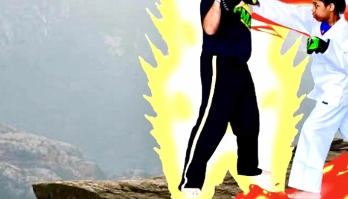 Premier Martial Arts Addison -  Videos - Addison