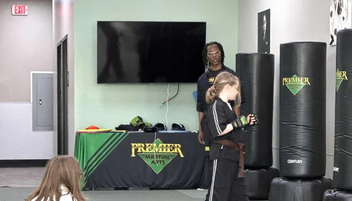 Premier Martial Arts Addison -  Where - Addison