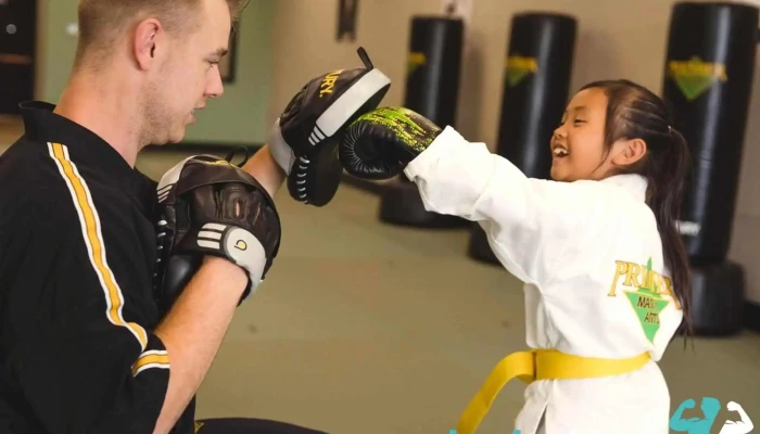 Premier Martial Arts -  By Owner - Canyon Country