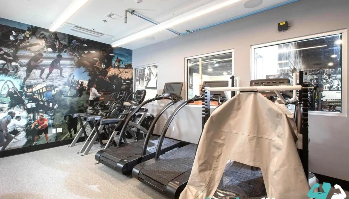 Proactive Sports Performance -  By Owner - Westlake Village