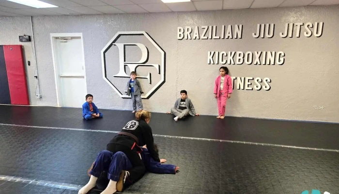 Profound Fitness -  Martial Art - Westminster